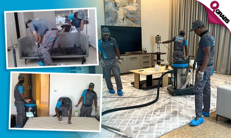 Sofa, Mattress & Carpet Cleaning Services!